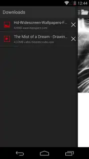 Broloader Video Downloader скриншот 12