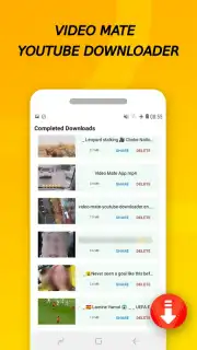 Vidora YouTube Downloader | free & fast скриншот 12