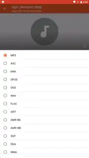 Audio Converter скриншот 3