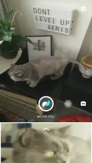 Motion Stills скриншот 1