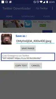 Video Downloader for Twitter скриншот 1