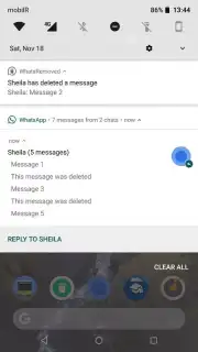 WhatsRemoved скриншот 9
