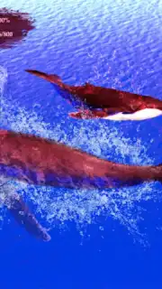 The Humpback Whales скриншот 21