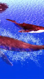 The Humpback Whales скриншот 11