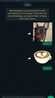 WhatsApp Messenger скриншот 12
