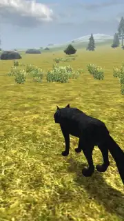 Wild Life: Wolf Clan скриншот 3
