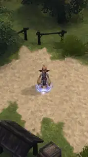 Final Fantasy Crystal Chronicles скриншот 3