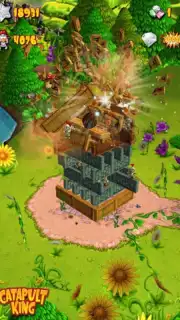 Catapult King скриншот 4