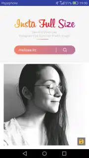 InstaFullSize скриншот 2