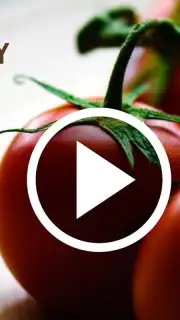 HD Video Downloader Free скриншот 3