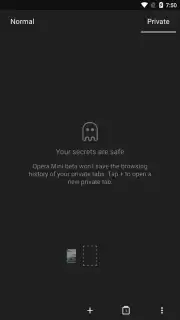 Opera Mini beta скриншот 5