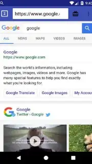 GL Browser скриншот 1