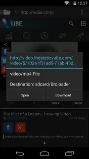 Broloader Video Downloader скриншот 15