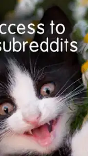 BaconReader for Reddit скриншот 3