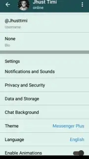 Messenger Plus скриншот 6