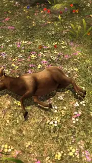 Deer Hunter Classic скриншот 4