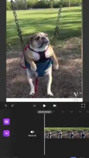 Motion Ninja скриншот 6