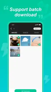WAStatusGrabD скриншот 2