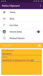 Native Clipboard скриншот 3