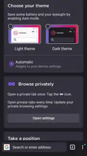 Iceraven Browser скриншот 4