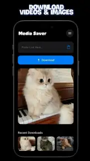 Media Saver скриншот 4