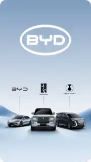 BYD скриншот 7
