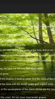 Holy Bible King James Version скриншот 1