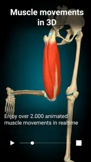 3D Anatomy Learning скриншот 5
