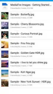 MediaFire скриншот 10