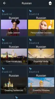 Bluebird Russian скриншот 8