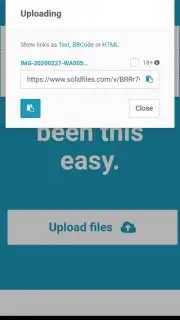 Solidfiles скриншот 2