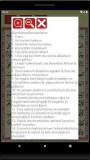Yasin Suresi скриншот 2