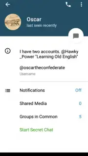 Via Messenger - Unofficial Telegram App скриншот 18