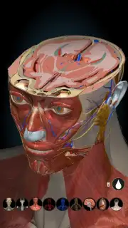 3D Anatomy Learning скриншот 8