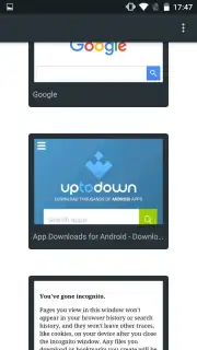 Pyrope Browser скриншот 6
