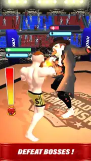 MMA Legends скриншот 2