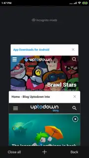 Mint Browser скриншот 5