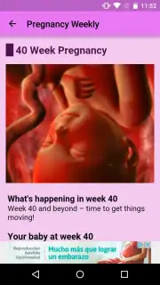 Pregnancy Weekly скриншот 5