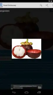 Food Dictionary скриншот 8