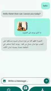 Chat Mate скриншот 8