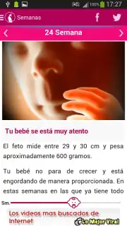 Semanas Embarazo скриншот 6