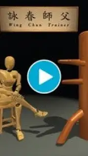 Wing Chun Trainer скриншот 1