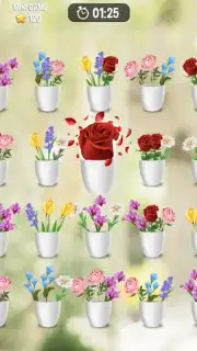 Zen Blossom скриншот 16