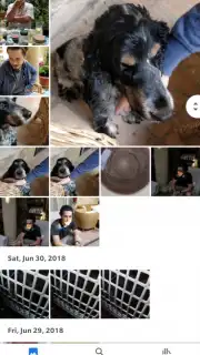 Google Photos скриншот 5