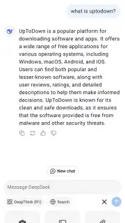 DeepSeek скриншот 8