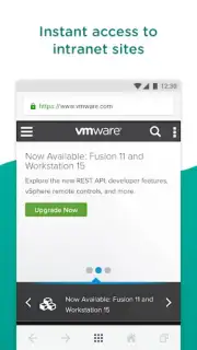 Web - Workspace ONE скриншот 4