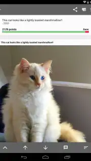 Open Imgur скриншот 4