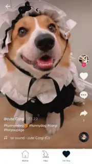 Downloader for TikTok скриншот 1