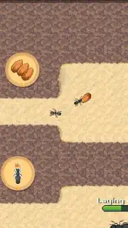 Pocket Ants скриншот 2