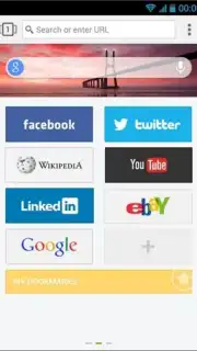 Next Browser скриншот 3